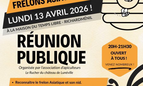 Réunion Lutte contre le Frelon Asiatique