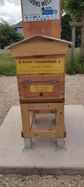 Inauguration de la ruche pédagogique
